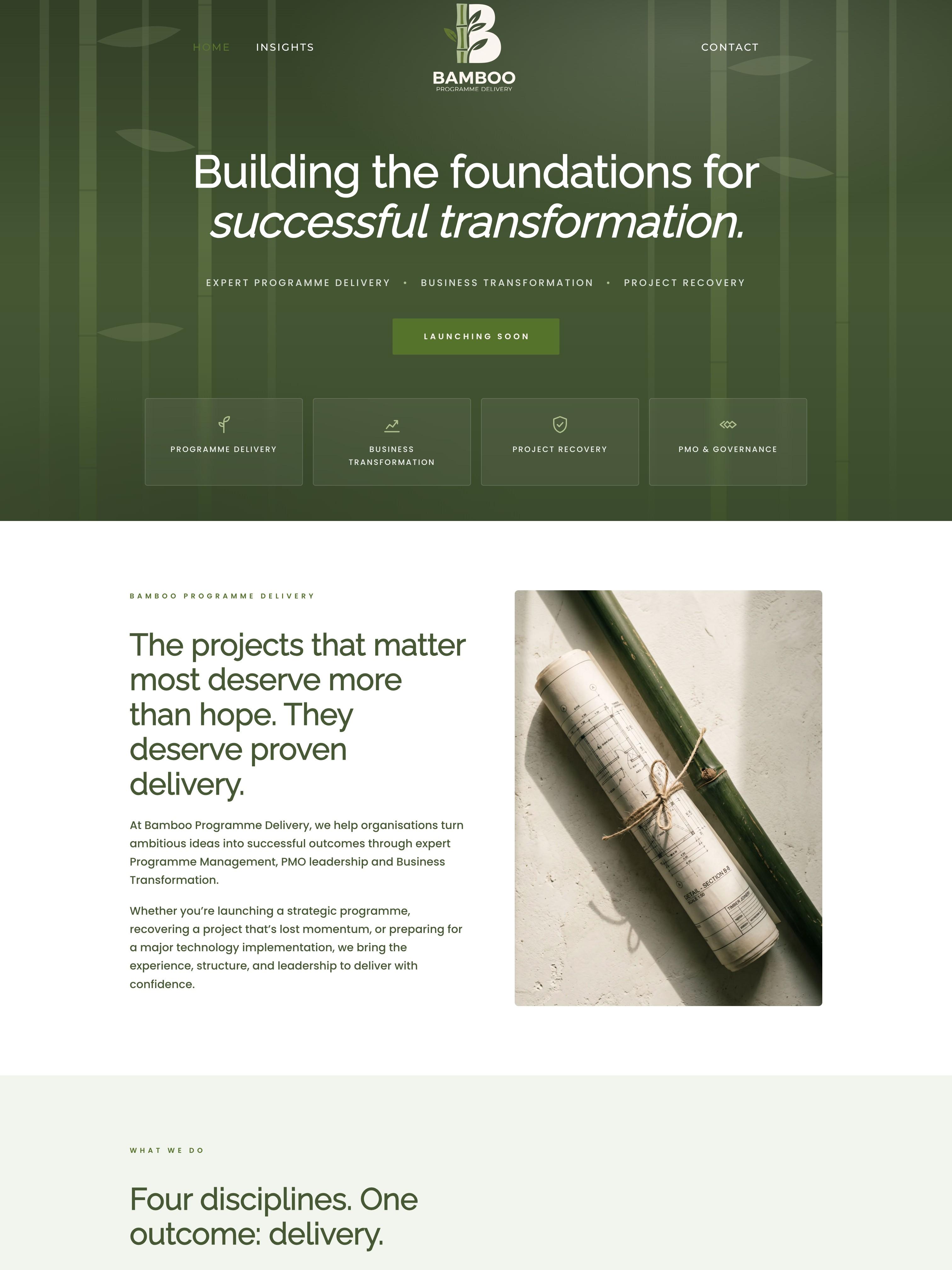 Bamboo Programme Delivery website